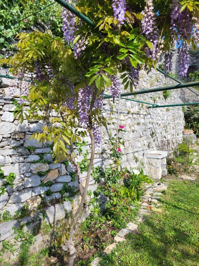 La Bouganvilla Porto Venere Bagian luar foto