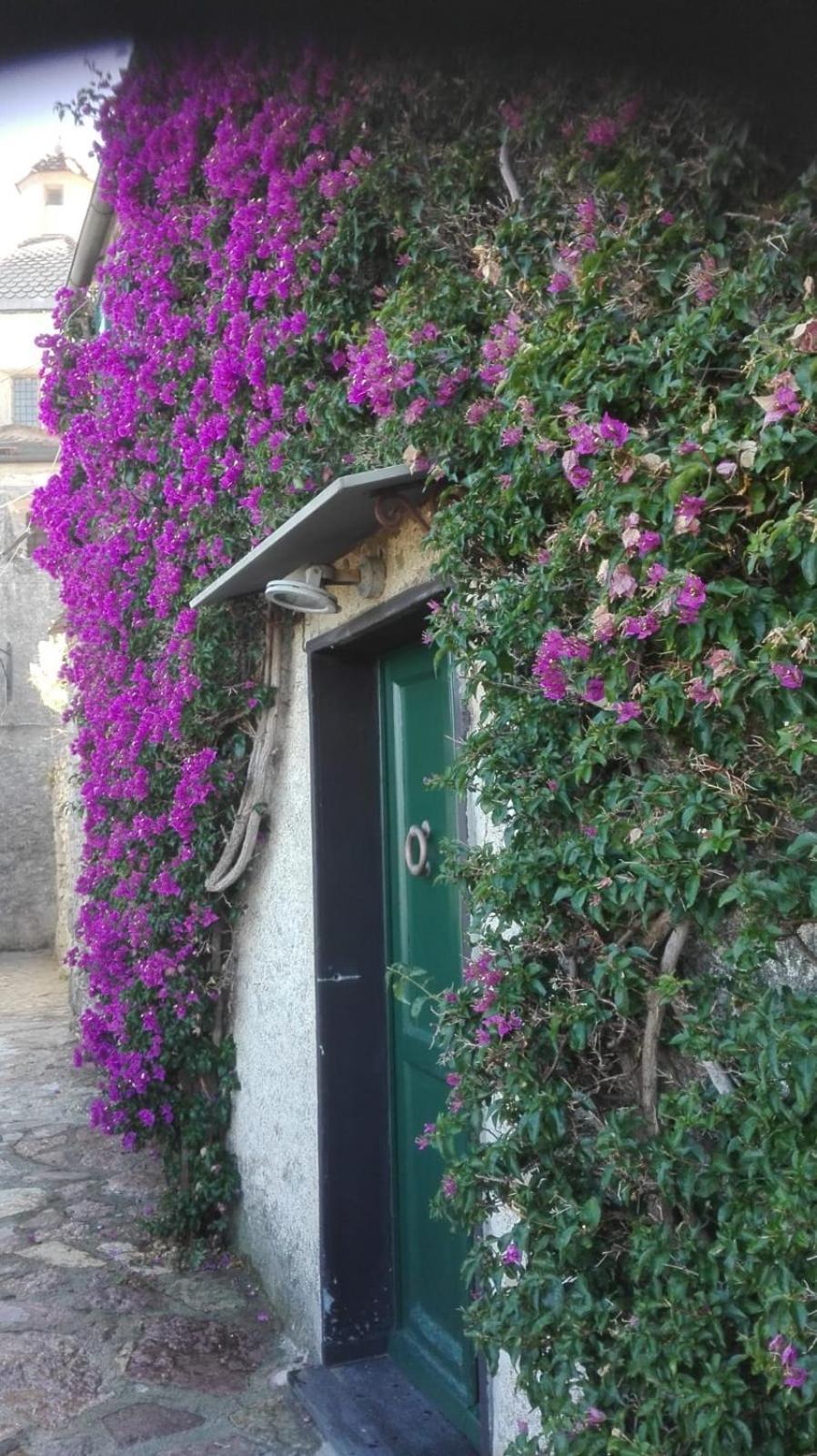 La Bouganvilla Porto Venere Bagian luar foto